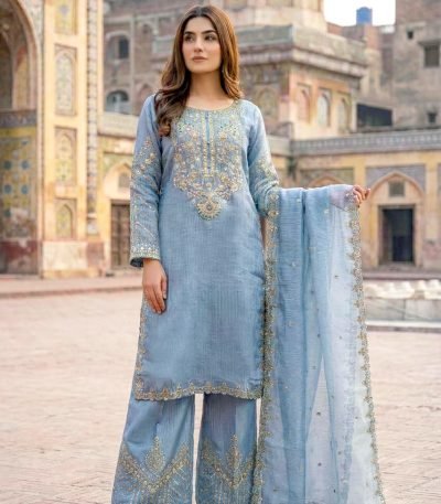 Blue Organza Medallion Embroidered Palazzo 3pc Suit