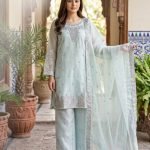 Mint Green Organza Silver Motif Embroidered Palazzo 3pc Suit